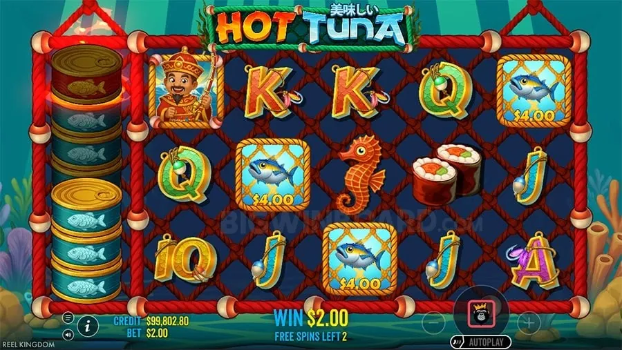 oktt login Responsible Gambling Practices